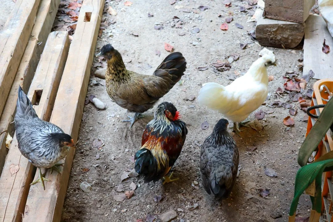 陶庫l益子の陶器ギャラリー】 — 作家インタビュー「小野正穂｜終わり